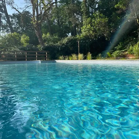 Maison Avec Piscine Hossegor Golf Villa Soorts-Hossegor